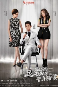 Двойник моей жены (2022)