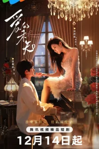 Пылкая любовь (2024)