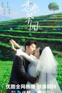 Любовь в чайном саду (2024)