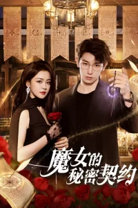 Тайный контракт ведьмы (2025)