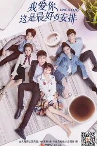 Любить тебя — лучшее решение (2019)